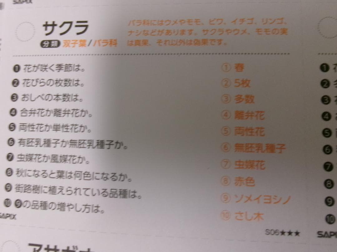 サピックス＊４年５年６年＊理科／生物（動物 植物）暗記カード・全８０枚完全版