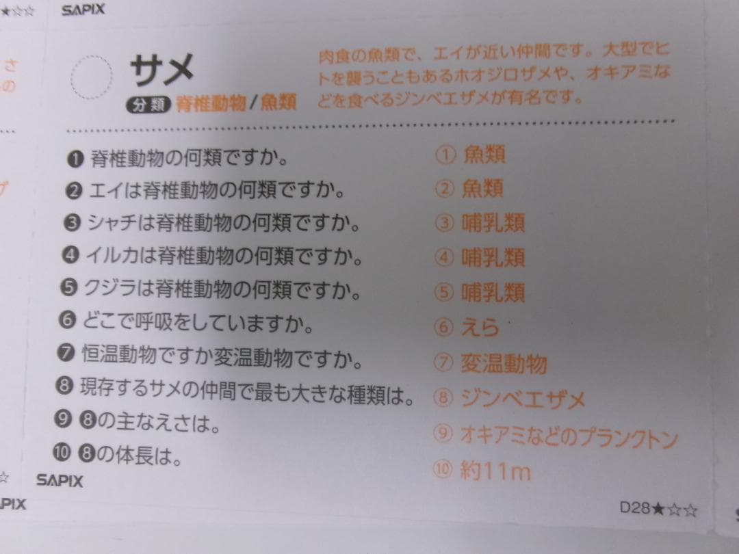 サピックス＊４年５年６年＊理科／生物（動物 植物）暗記カード・全８０枚完全版