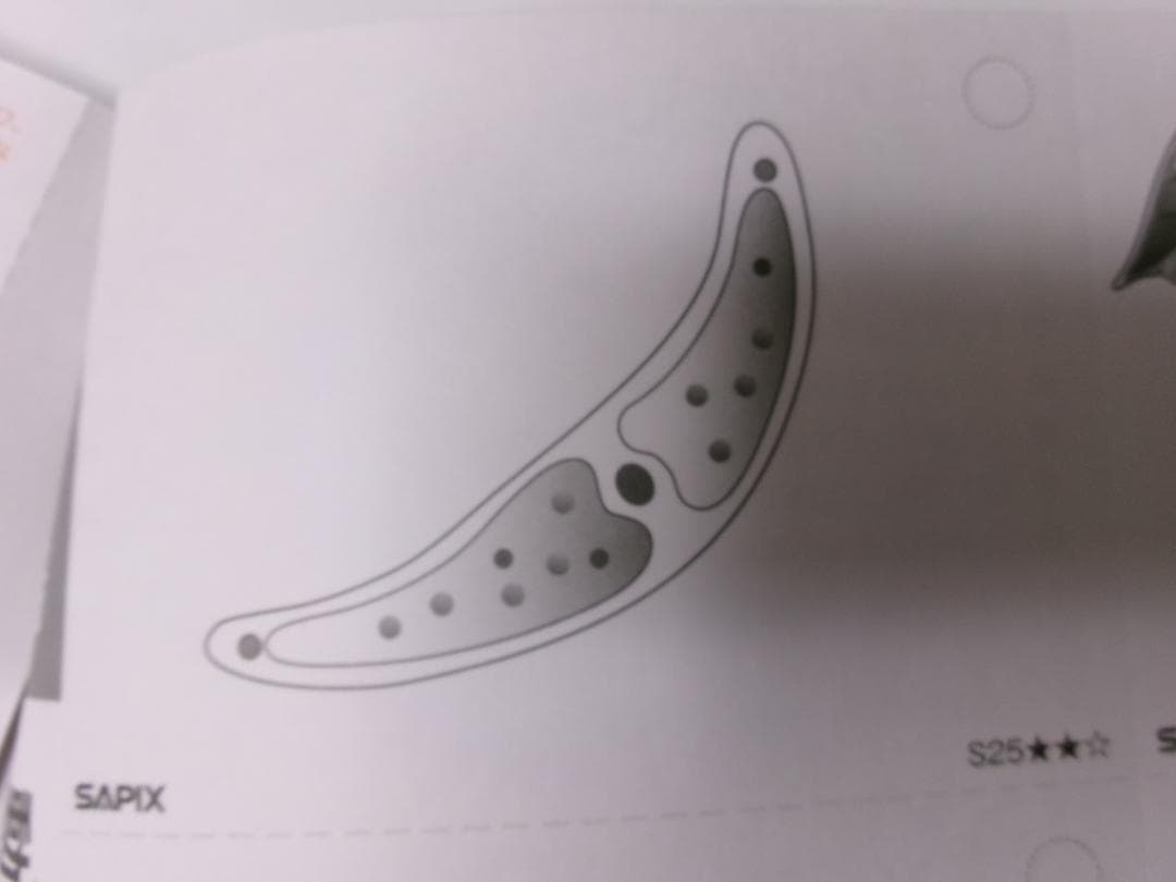 サピックス＊４年５年６年＊理科／生物（動物 植物）暗記カード・全８０枚完全版