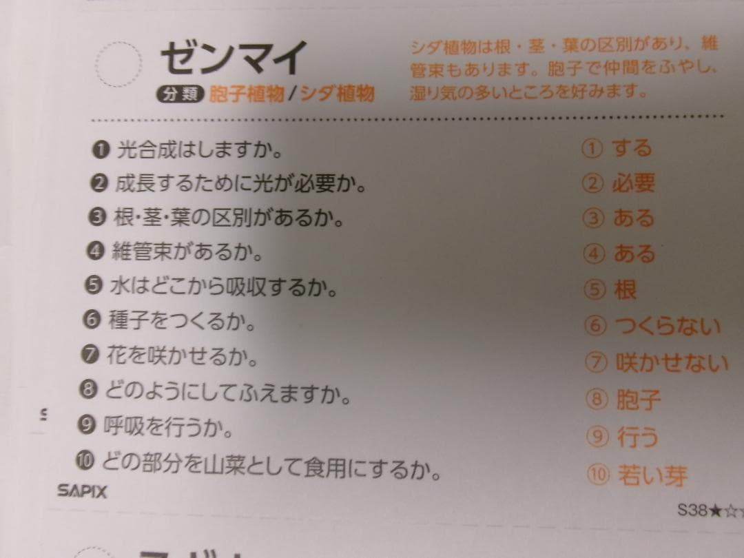 サピックス＊４年５年６年＊理科／生物（動物 植物）暗記カード・全８０枚完全版