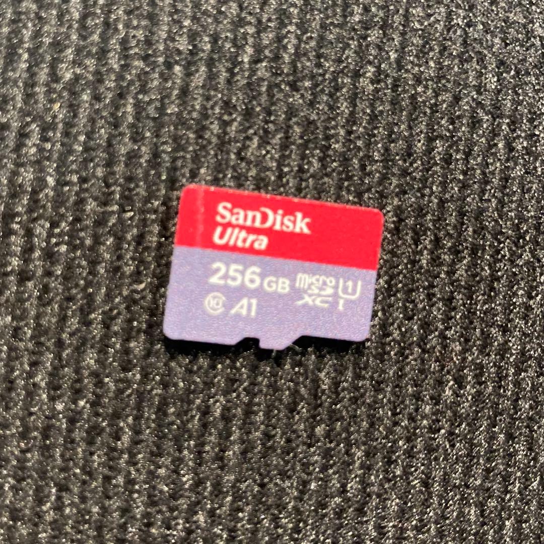 Nintendo Switch Lite グレー 専用ケース&microSD