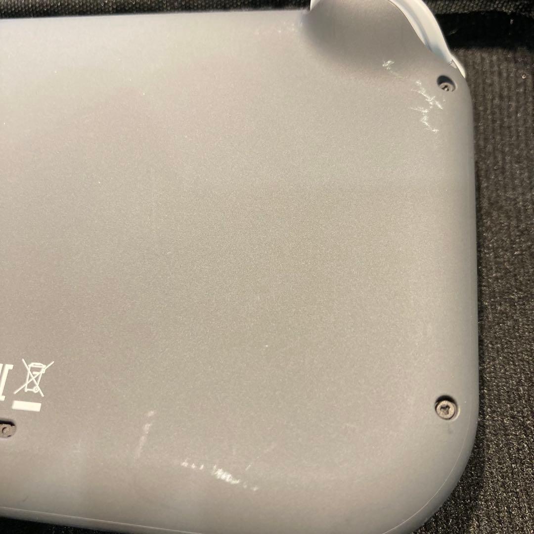 Nintendo Switch Lite グレー 専用ケース&microSD