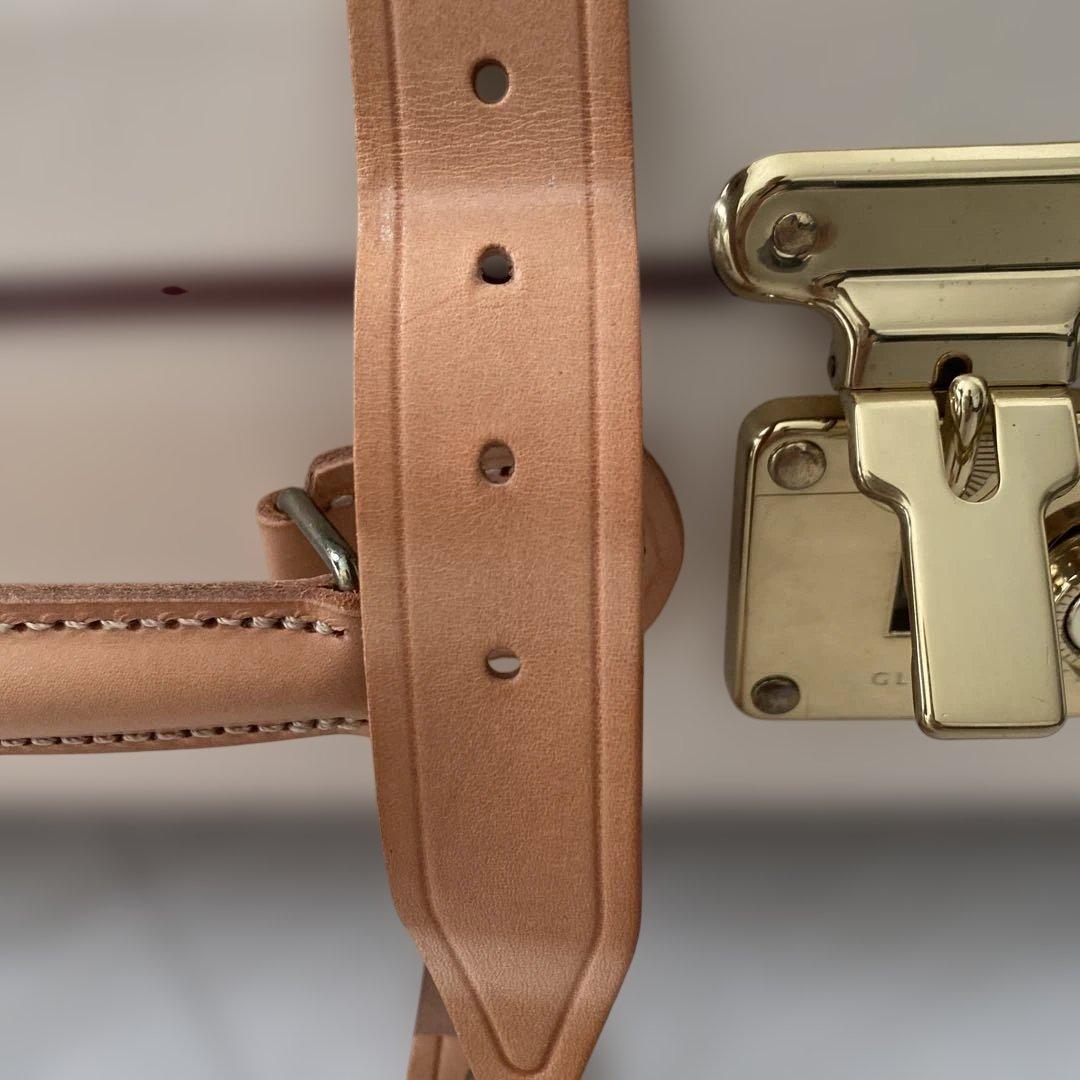 グローブトロッター　サファリ