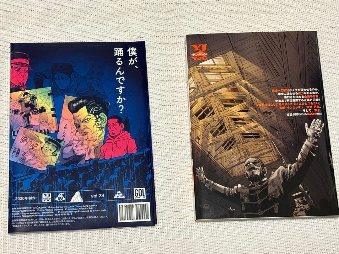 ゴールデンカムイ　23巻　アニメDVD同梱版　支遁動物記