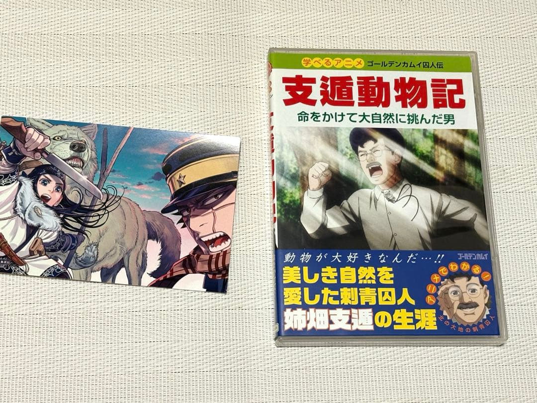 ゴールデンカムイ　23巻　アニメDVD同梱版　支遁動物記