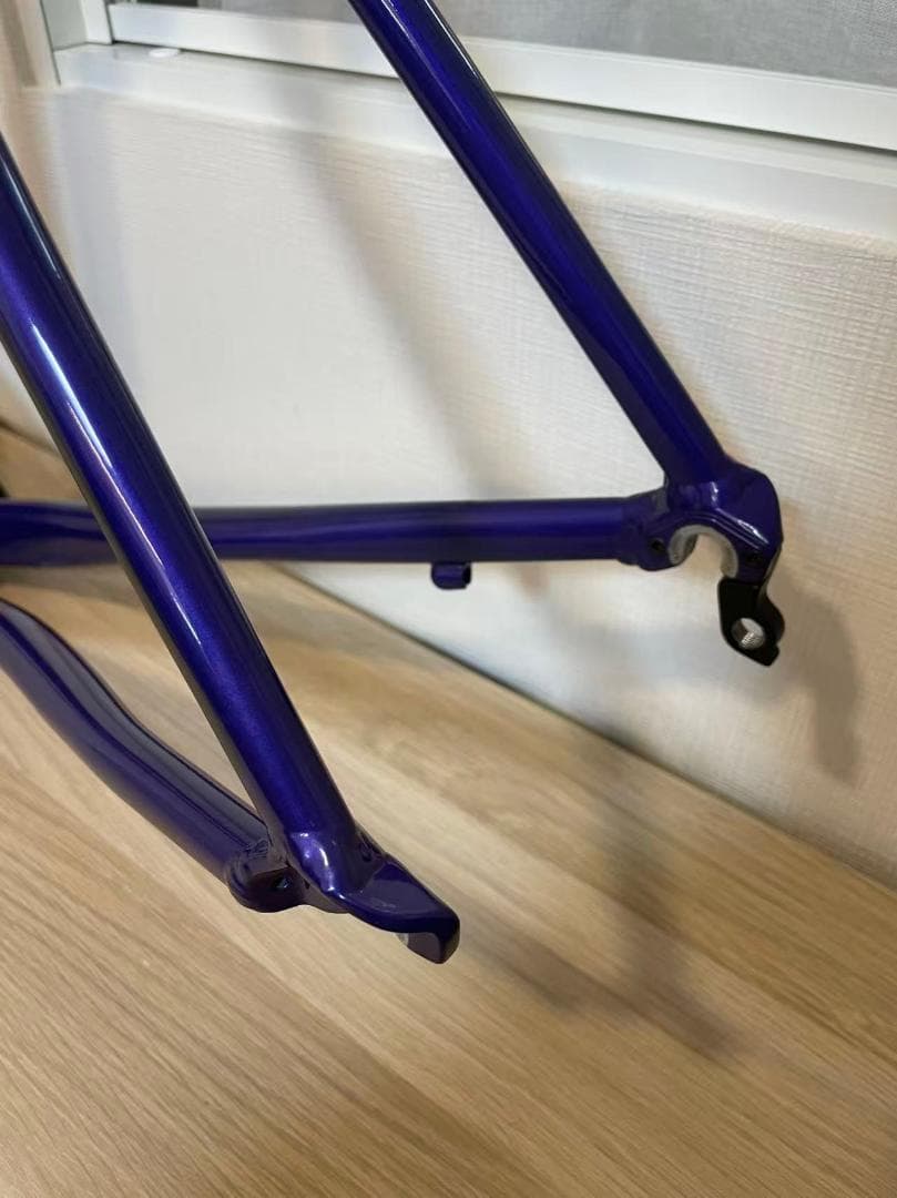 Cannondale CAAD OPTIMO 2019 フレームセット 54