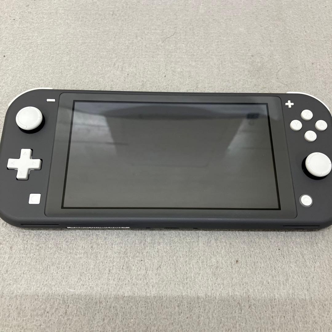 GE9119Nintendo Switch Lite グレー