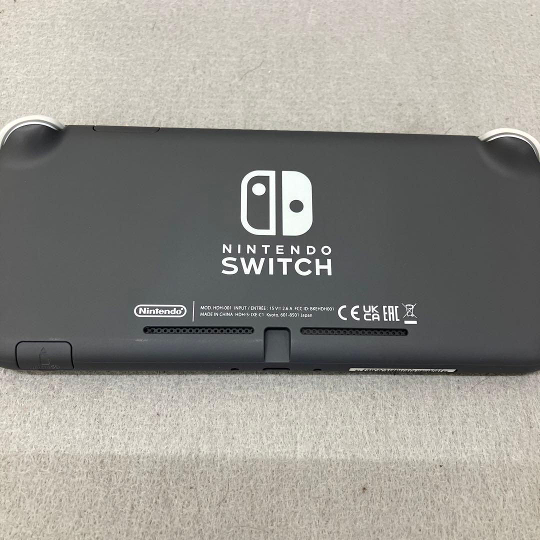 GE9119Nintendo Switch Lite グレー