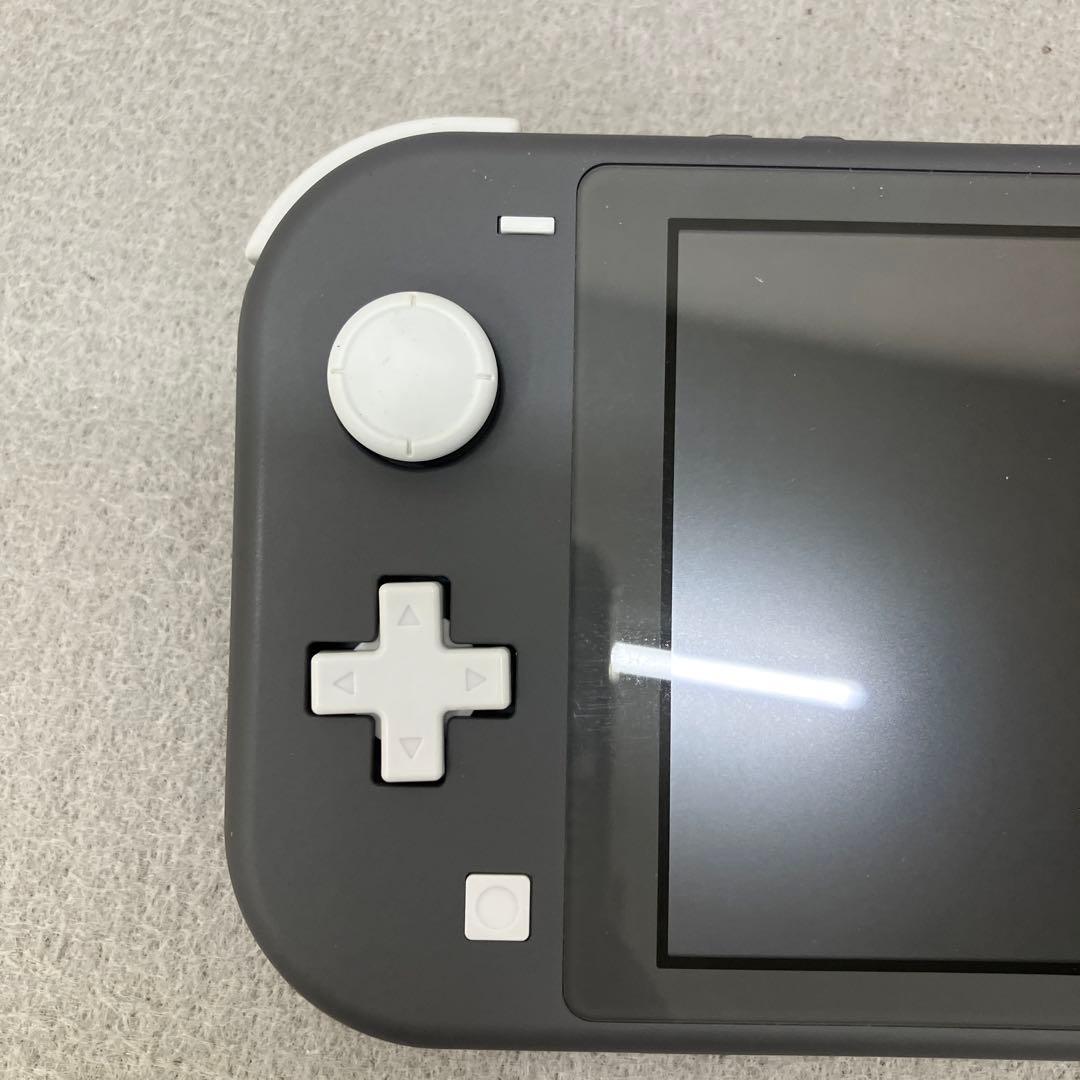 GE9119Nintendo Switch Lite グレー