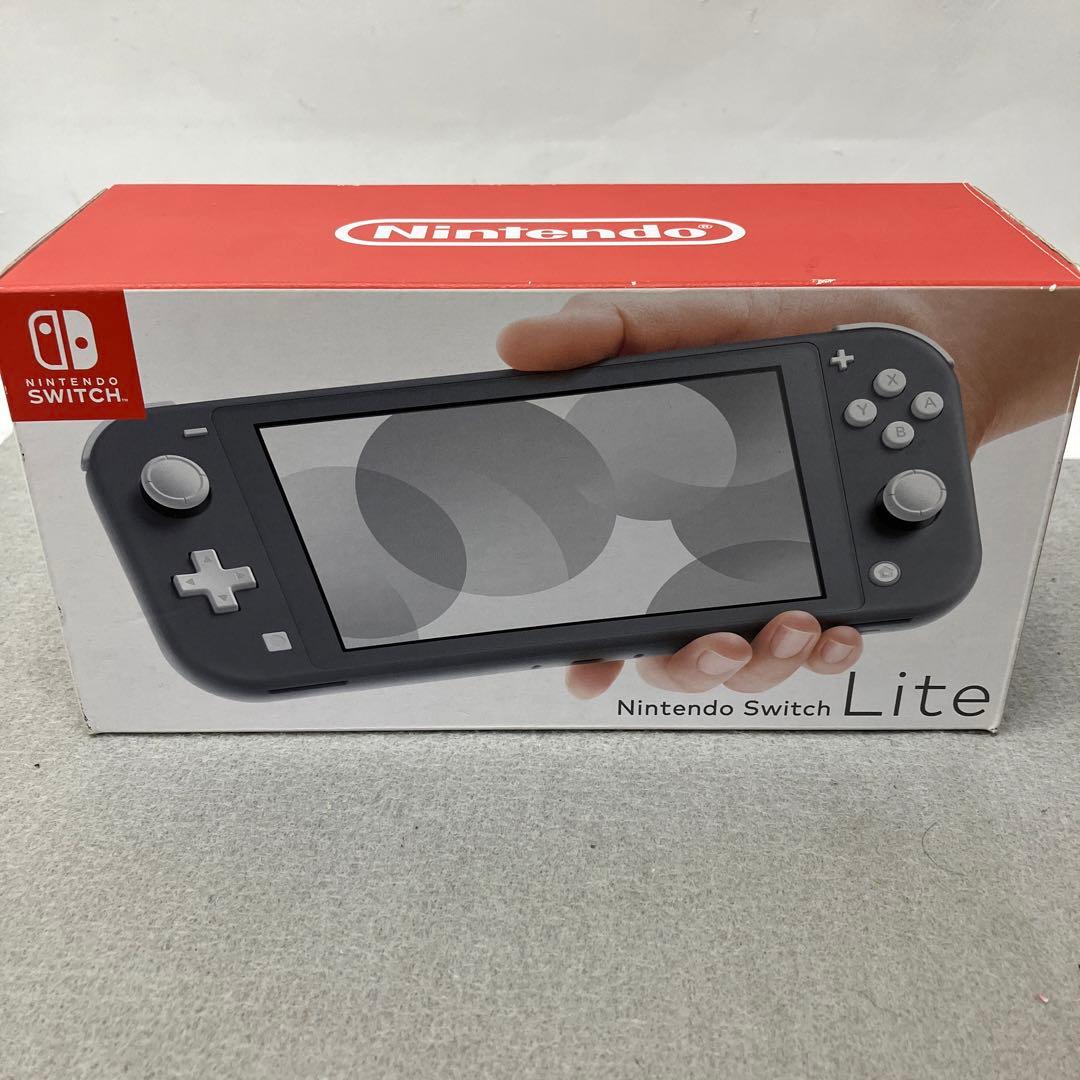 GE9119Nintendo Switch Lite グレー