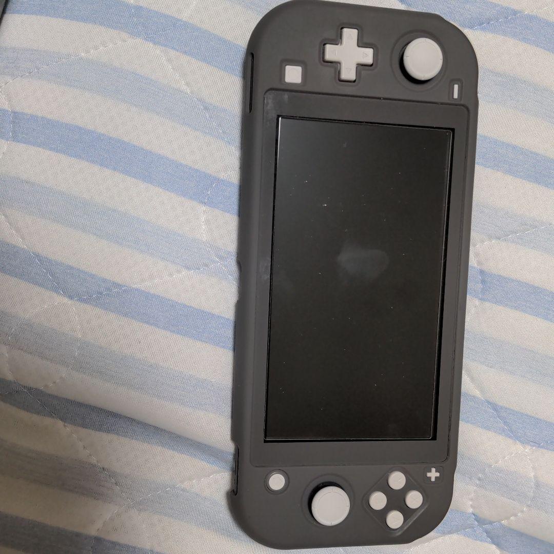 Nintendo Switch NINTENDO SWITCH LITE グ…