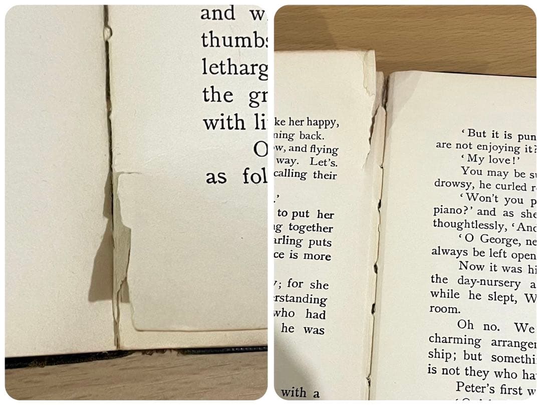 SALE！No.193 アンティーク　古書 洋書 絵本 ピーター・パン