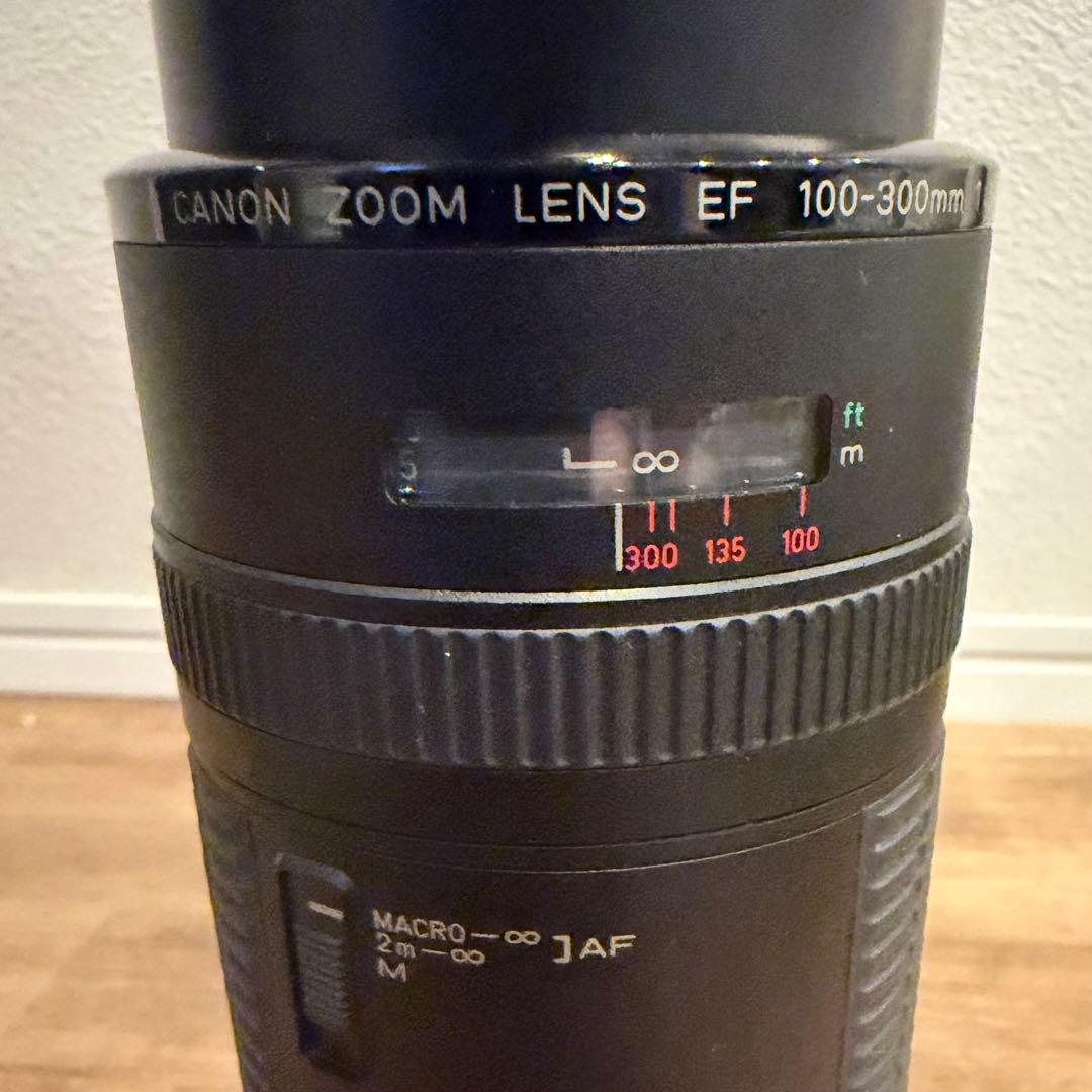 【美品】Canon EF 100-300mm 望遠ズームレンズ AF 動作確認済