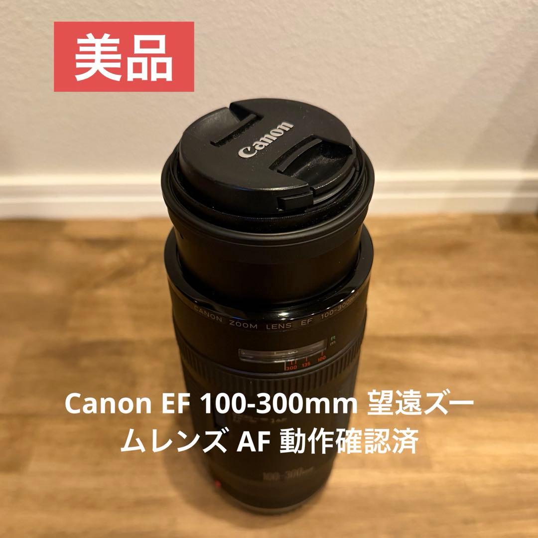 【美品】Canon EF 100-300mm 望遠ズームレンズ AF 動作確認済