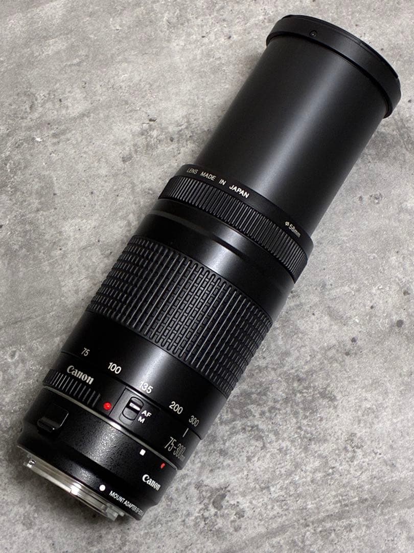 ⭐️美品⭐️Canon EF 75-300 II & EF-EOS M アダプター