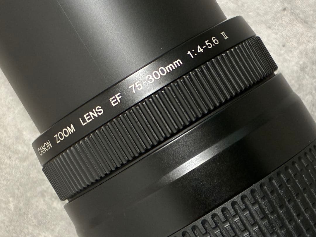 ⭐️美品⭐️Canon EF 75-300 II & EF-EOS M アダプター