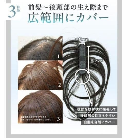 ピタッチ　部分ウィッグ　ナチュラルブラック　ミディアム