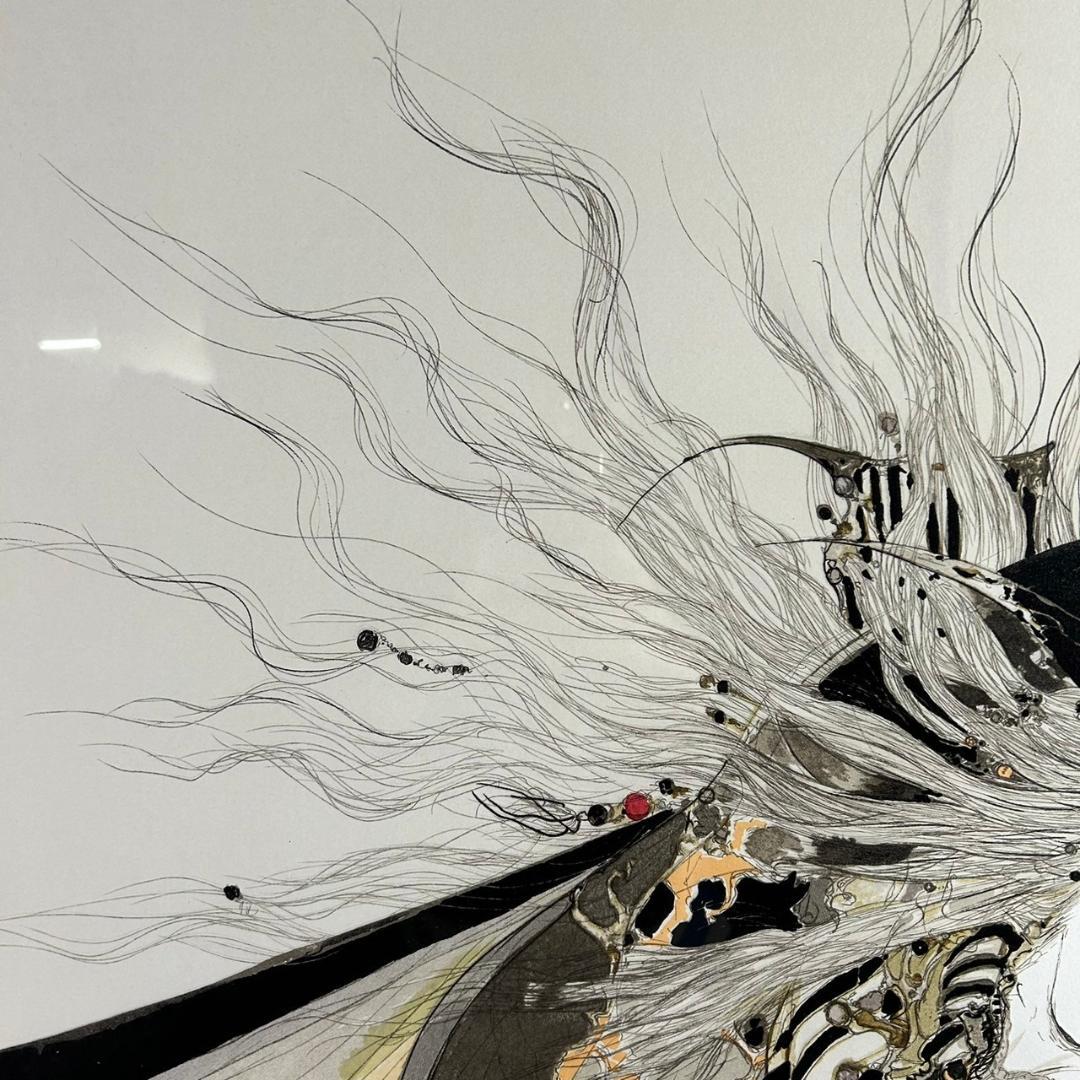 天野喜孝「彩」リトグラフ 直筆サイン入り 25号 大作 ファイナルファンタジー