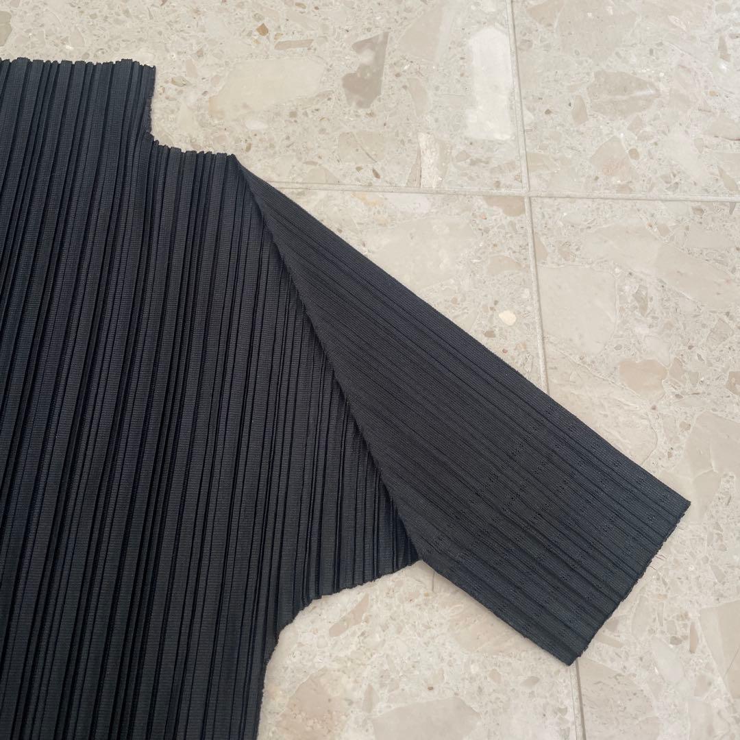 プリーツプリーズ　ハイネックトップス　ブラック