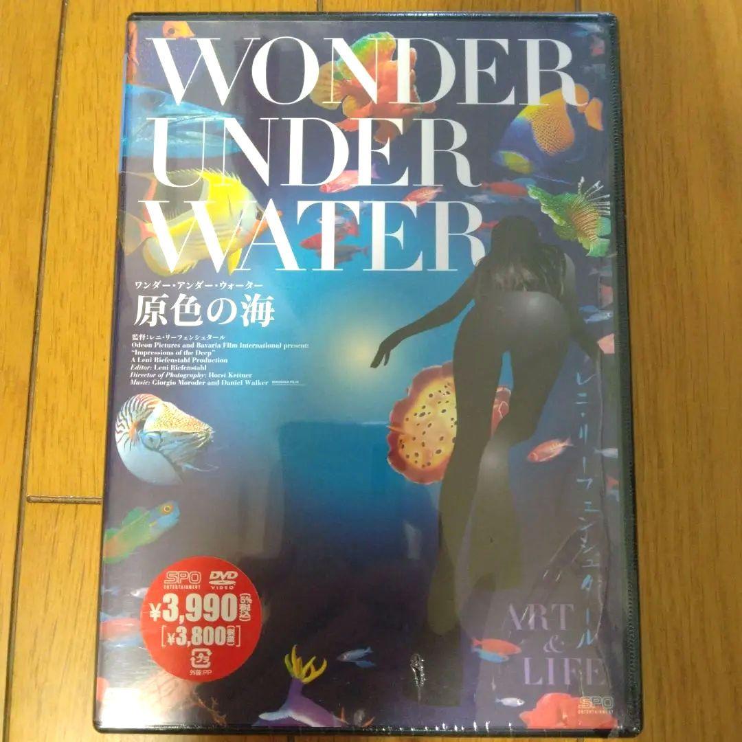 【廃盤・未開封】原色の海