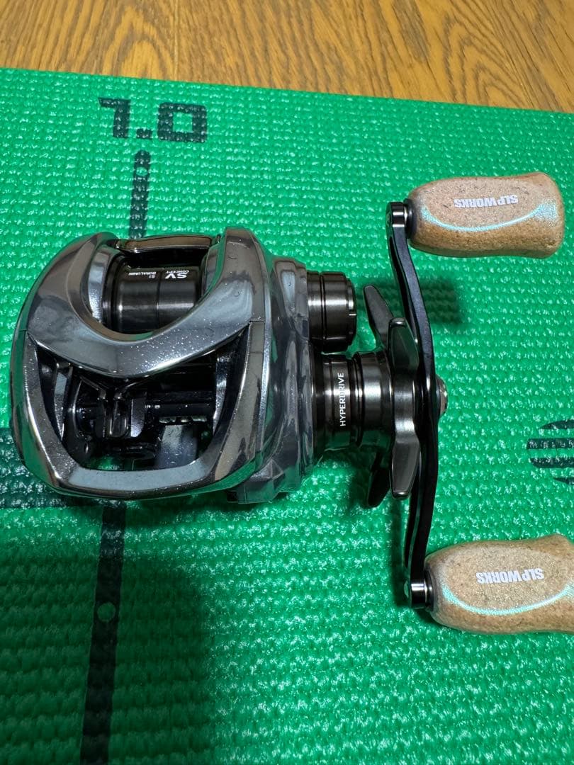 ダイワ 25 スティーズリミテッド CT SV TW 70XHL(左)