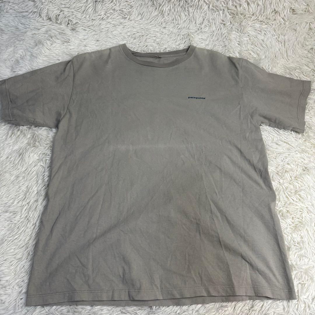 patagonia 90s USA製 ベネフィシャルT 北斎 波グラフィック M