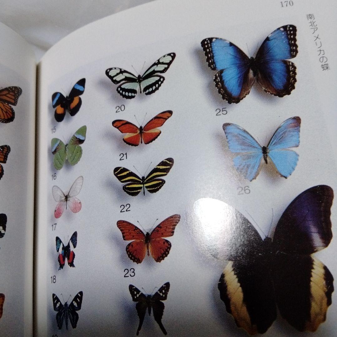 蝶の切手 文庫 カラー版 昭和 レア モルフォ ブルバタフライ オオムラサキ