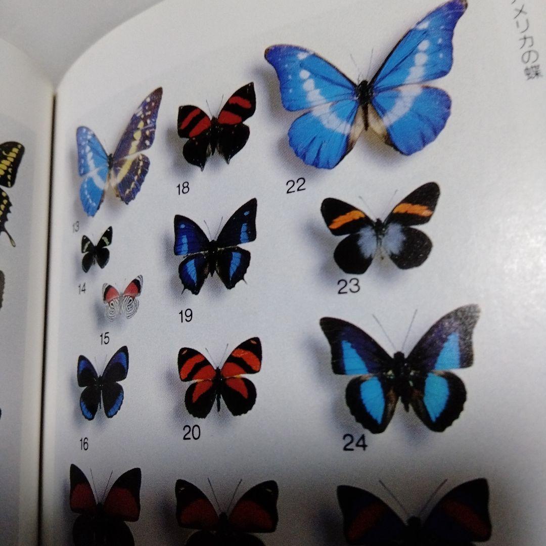 蝶の切手 文庫 カラー版 昭和 レア モルフォ ブルバタフライ オオムラサキ