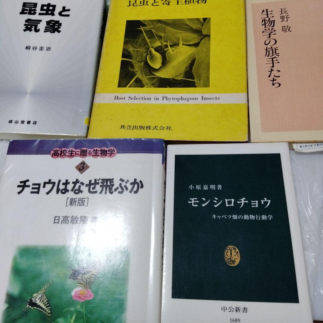 蝶の切手 文庫 カラー版 昭和 レア モルフォ ブルバタフライ オオムラサキ
