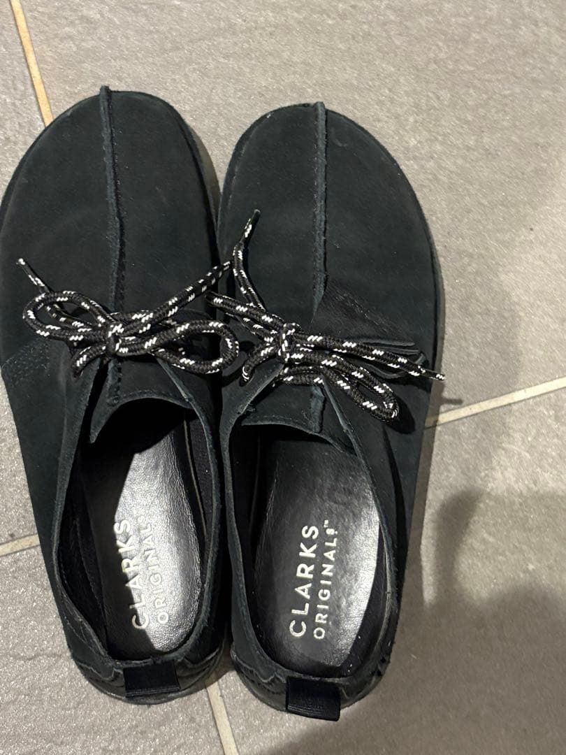 Clarks Desert TrekGTX クラークス デザートトレック