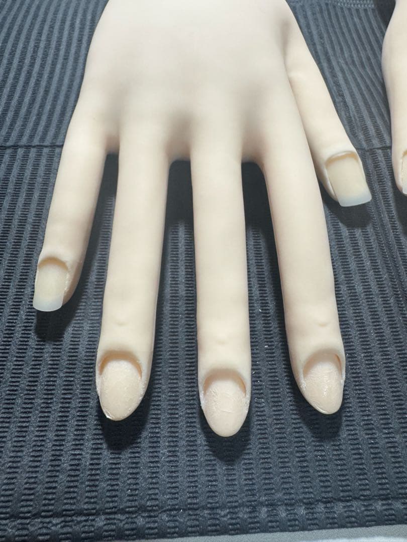 JNEC 認定モデルハンド　骨折なし