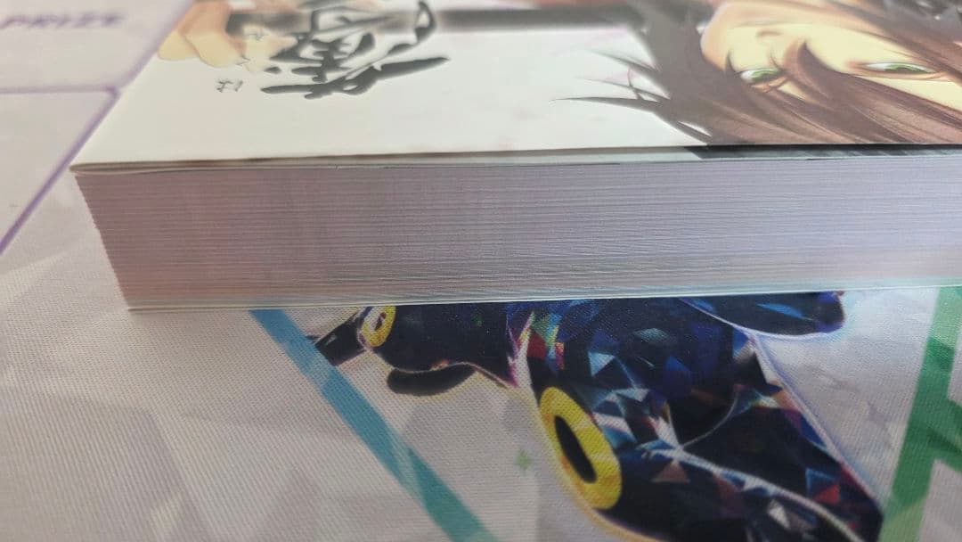 薄桜鬼 十周年記念本　～桜花爛漫～