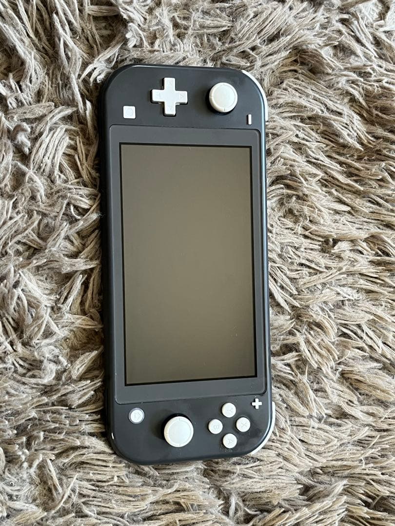 ⭐︎美品⭐︎Switch light グレー⭐︎2点セット