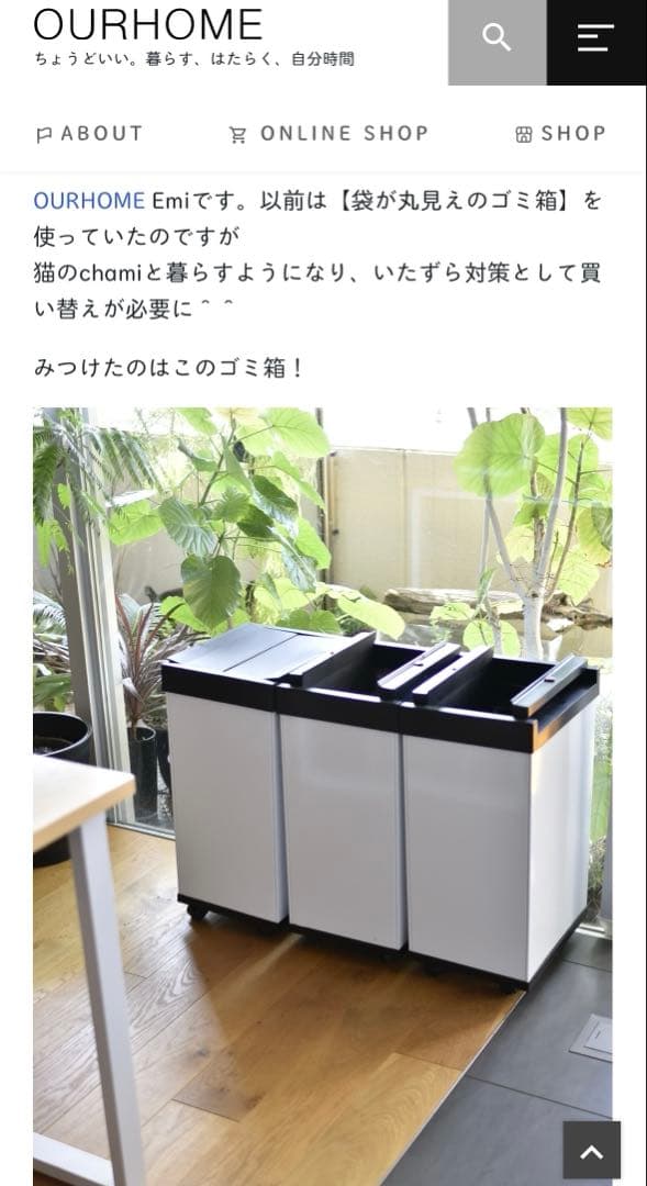hailo ハイロ ニュービッグボックス60L ブラックゴミ箱キッチン
