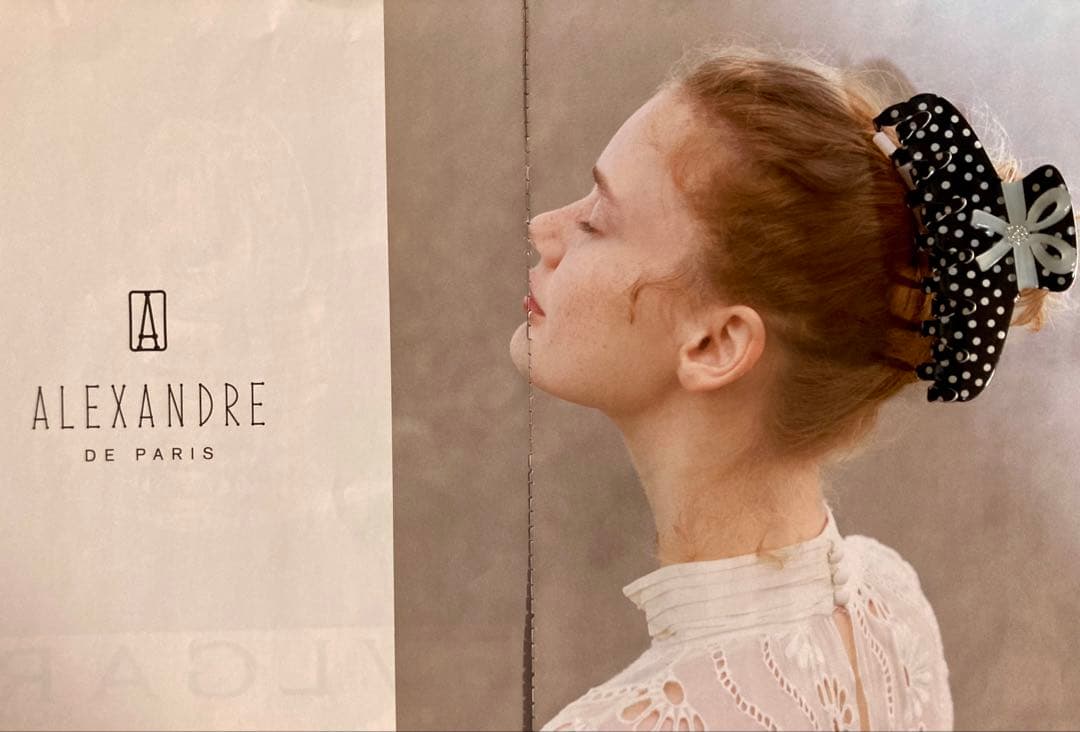ALEXANDRE DE PARIS ヘアクリップ　Lサイズ
