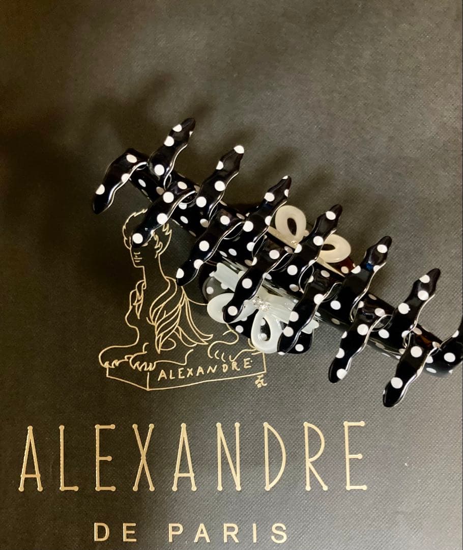 ALEXANDRE DE PARIS ヘアクリップ　Lサイズ