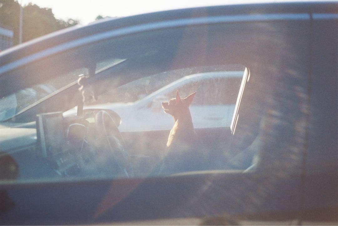 【撮影済】KYOCERA TD コンパクトフィルムカメラ