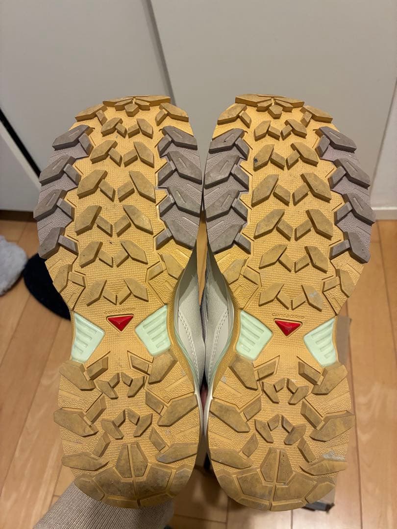 靴 SALOMON X ULTRA 360 EDGE GTX W