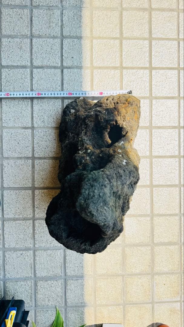 ADA 雲山石 特寸サイズ 2個セット