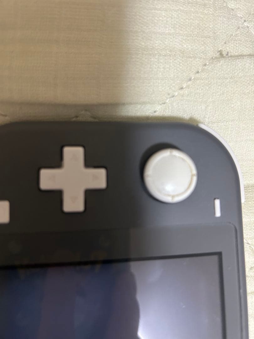 任天堂switch light 本体　箱付き