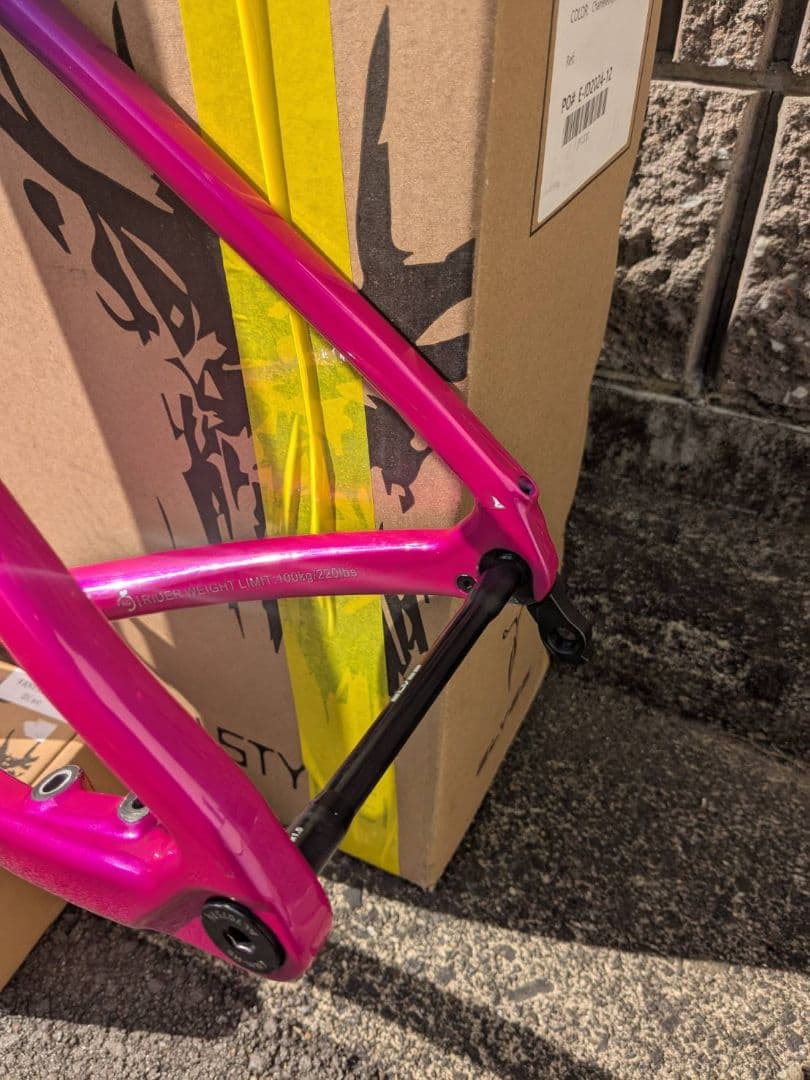 ELVES vanyer pro ロードバイクフレーム サイズ50