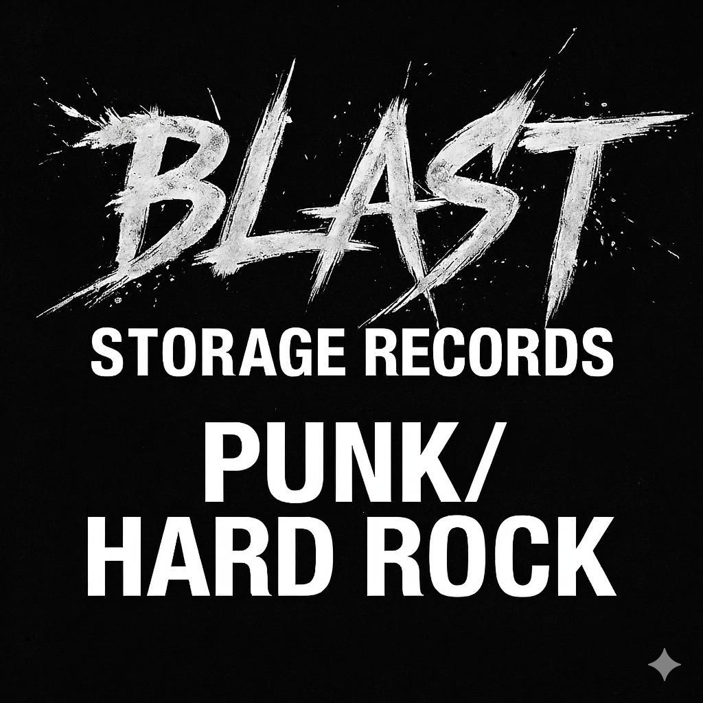 【LP】GN'R Lies｜Guns N' Roses 国内盤・帯・ライナー付