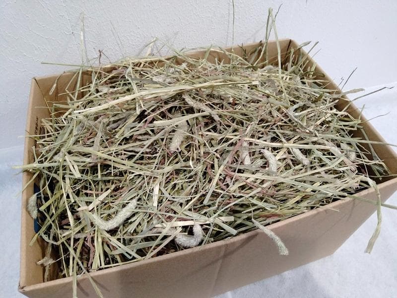 【1/14まで】 カナダ産 チモシー 60kg スーパープレミアム １番刈り