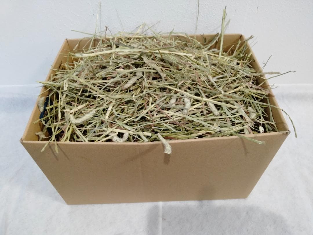 【1/14まで】 カナダ産 チモシー 60kg スーパープレミアム １番刈り