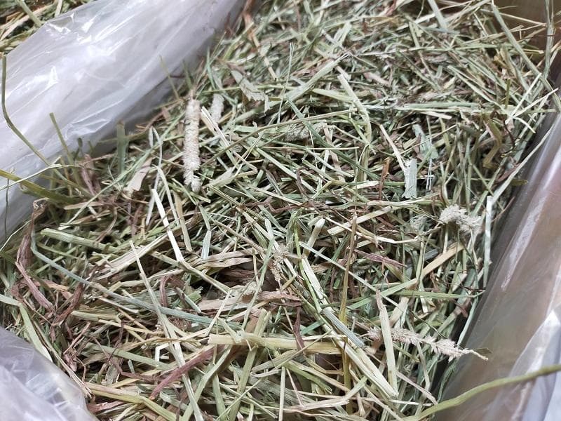 【1/14まで】 カナダ産 チモシー 60kg スーパープレミアム １番刈り