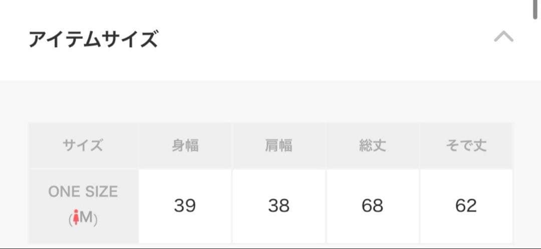 中古SEA タートルネックハイネックSeavalleyMountain Club