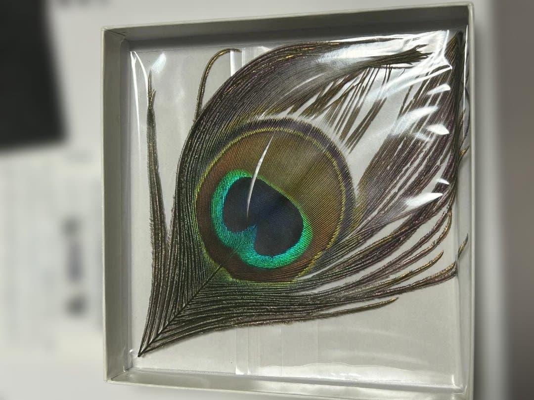 【超希少 サイン入り4枚組ボックス 限定ナンバード】XTC /Apple Box