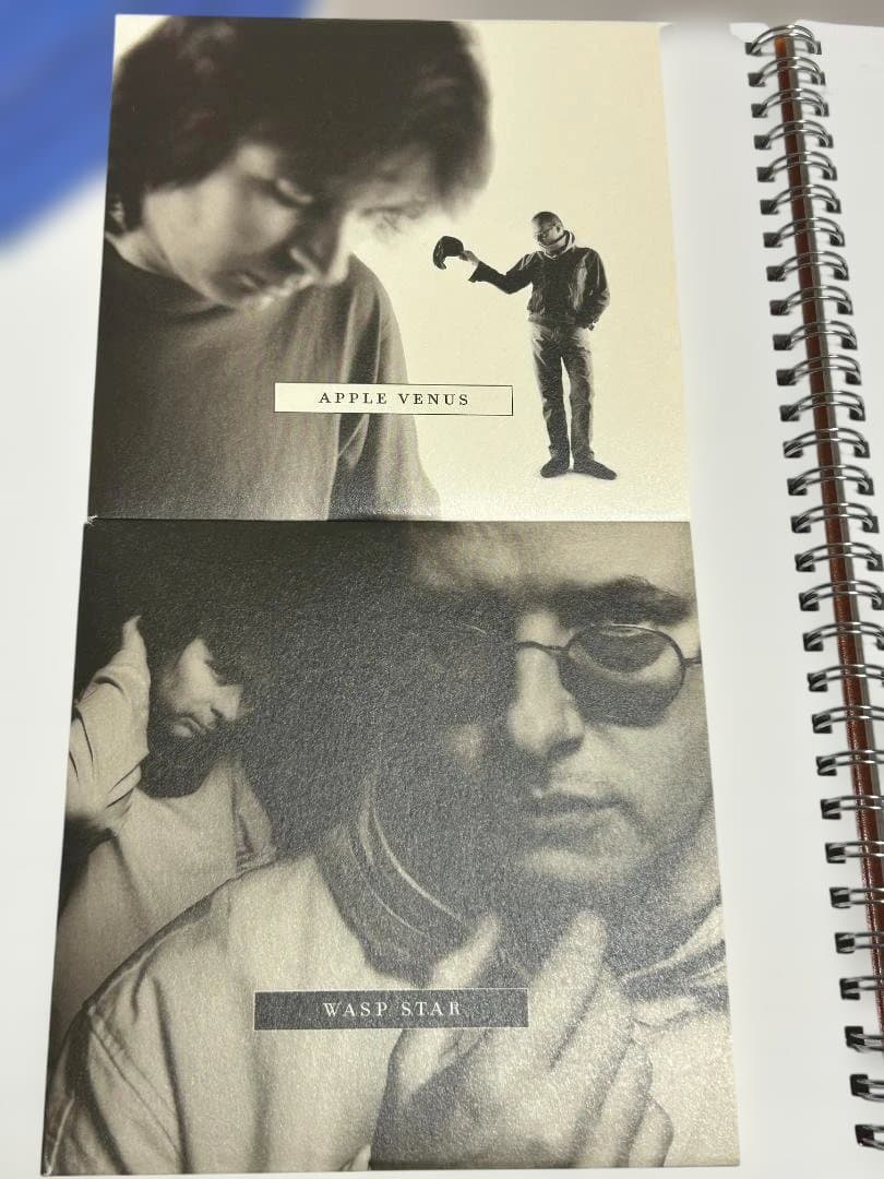 【超希少 サイン入り4枚組ボックス 限定ナンバード】XTC /Apple Box