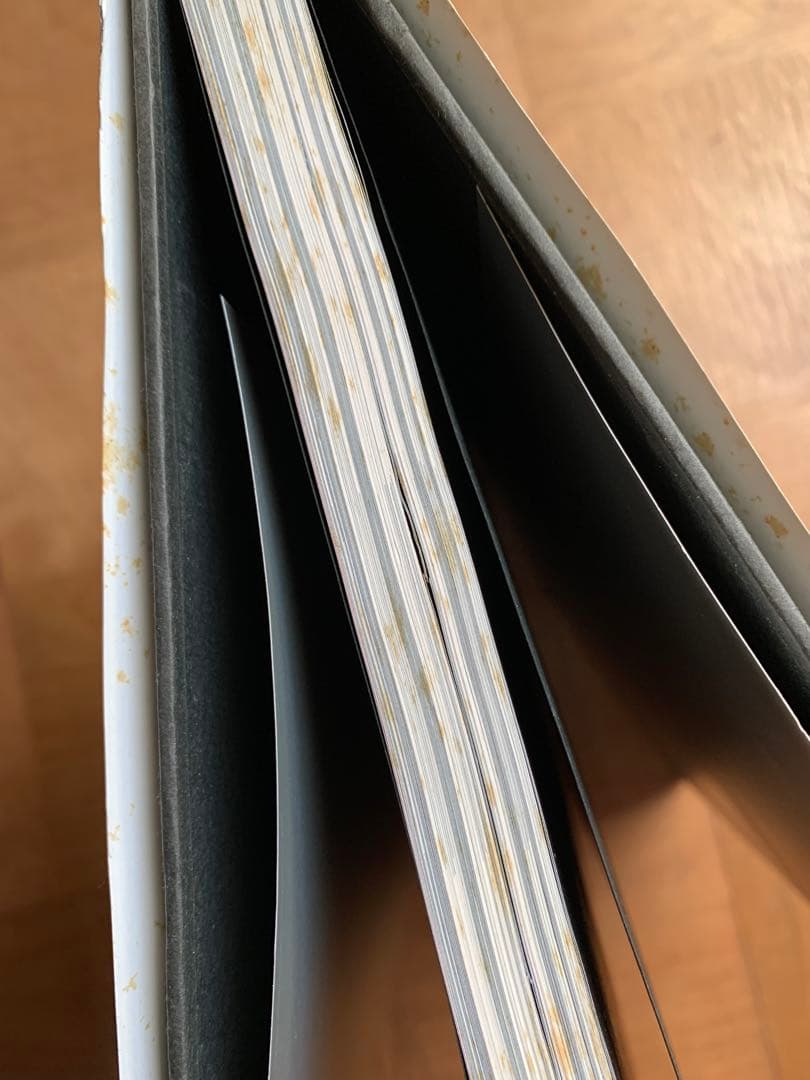 【写真集】Buck-Tick（バクチク）MORPHOSIS BT8992