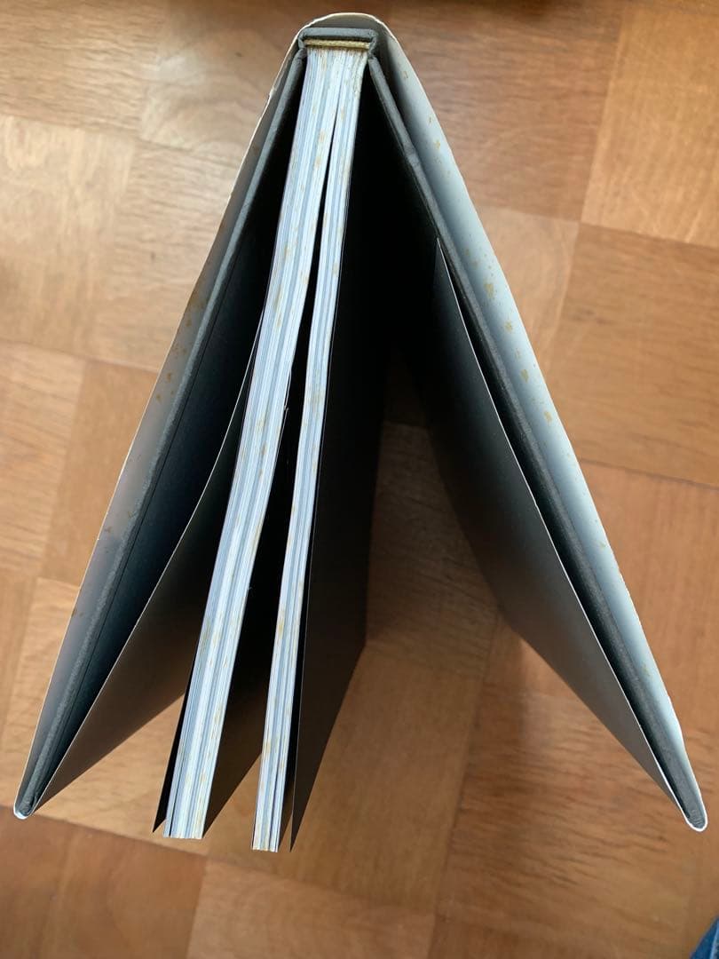 【写真集】Buck-Tick（バクチク）MORPHOSIS BT8992